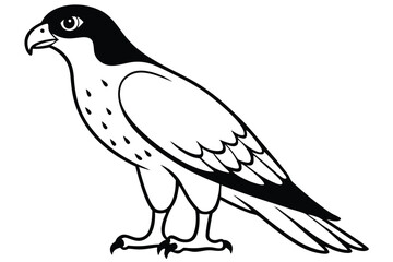 Obraz premium hawk silhouette line art vector illustration with a white background
