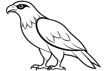 Obraz premium hawk silhouette line art vector illustration with a white background