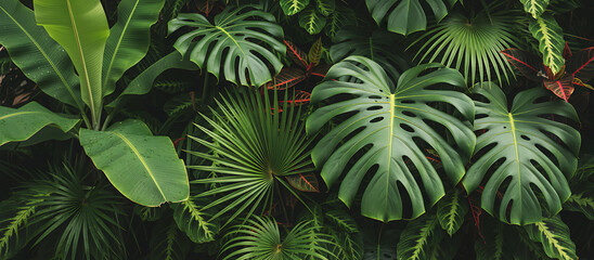 Vibrant Monstera Deliciosa Leaves in Green