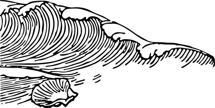 vector illustration of an abstract zebra