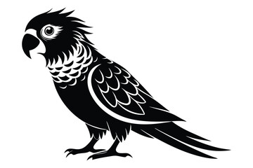 Obraz premium lorikeet silhouette line art vector illustration with a white background