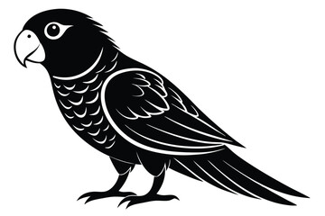 Obraz premium lorikeet silhouette line art vector illustration with a white background
