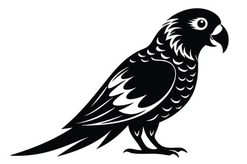 lorikeet silhouette line art vector illustration with a white background