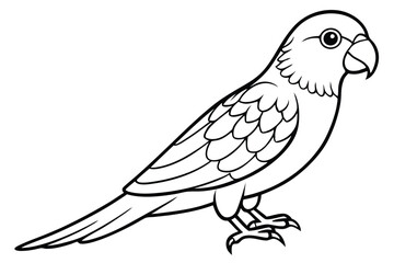 Obraz premium lorikeet silhouette line art vector illustration with a white background