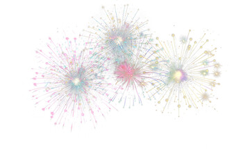 Obraz premium Vibrant Night Fireworks Display Burst in the Sky