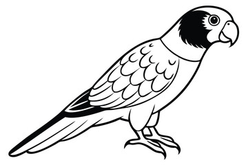 Obraz premium lorikeet silhouette line art vector illustration with a white background