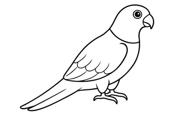 lorikeet silhouette line art vector illustration with a white background