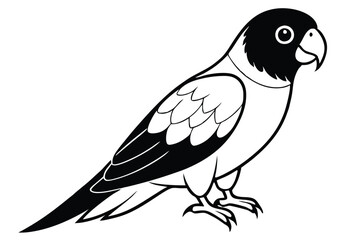 Obraz premium lorikeet silhouette line art vector illustration with a white background