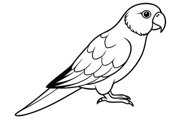 Obraz premium lorikeet silhouette line art vector illustration with a white background