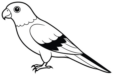 Obraz premium lorikeet silhouette line art vector illustration with a white background