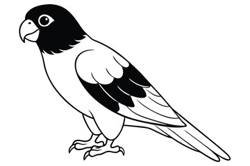 Obraz premium lorikeet silhouette line art vector illustration with a white background