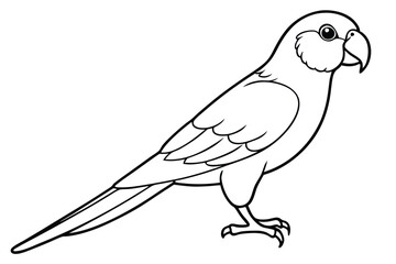 Obraz premium lorikeet silhouette line art vector illustration with a white background