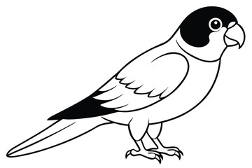 Obraz premium lorikeet silhouette line art vector illustration with a white background