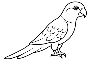 Obraz premium lorikeet silhouette line art vector illustration with a white background