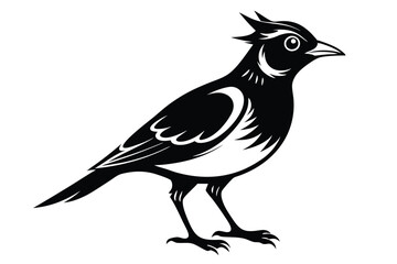 Obraz premium lark silhouette line art vector illustration with a white background