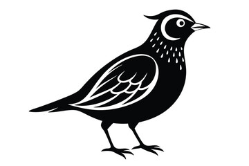 Obraz premium lark silhouette line art vector illustration with a white background