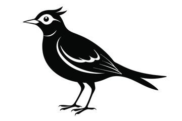 Obraz premium lark silhouette line art vector illustration with a white background