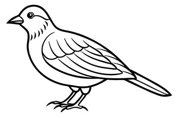 Obraz premium lark silhouette line art vector illustration with a white background