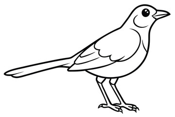 Obraz premium lark silhouette line art vector illustration with a white background