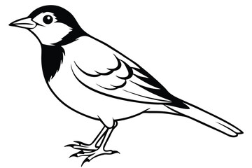 Obraz premium lark silhouette line art vector illustration with a white background