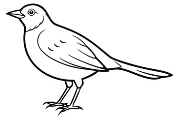 Obraz premium lark silhouette line art vector illustration with a white background