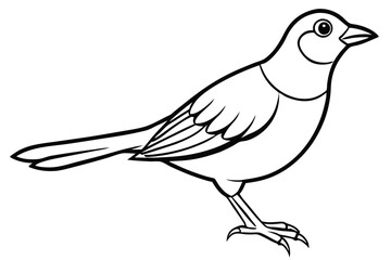 Obraz premium lark silhouette line art vector illustration with a white background