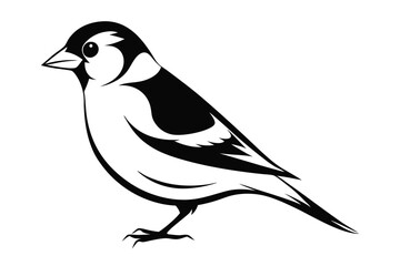 goldfinch silhouette line art vector illustration with a white background