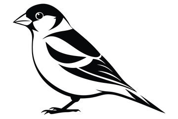 goldfinch silhouette line art vector illustration with a white background