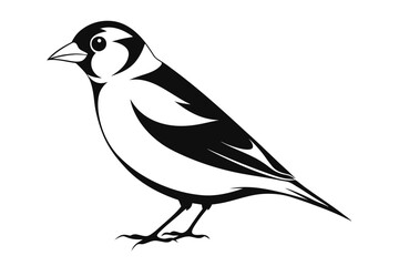 goldfinch silhouette line art vector illustration with a white background