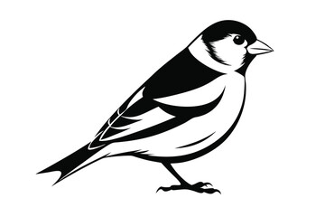 goldfinch silhouette line art vector illustration with a white background