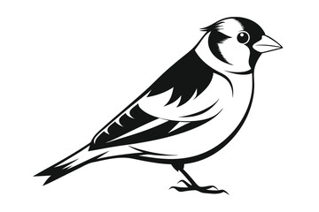 goldfinch silhouette line art vector illustration with a white background
