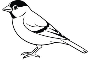 goldfinch silhouette line art vector illustration with a white background