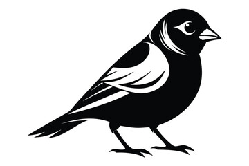 Obraz premium finch silhouette line art vector illustration with a white background
