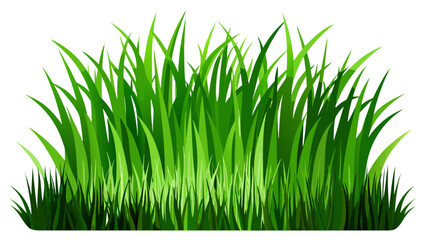 Fototapeta premium green grass on white background