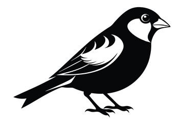 Obraz premium finch silhouette line art vector illustration with a white background