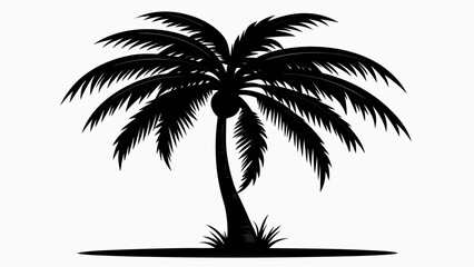 Obraz premium silhouette of palm tree