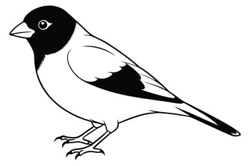 Obraz premium finch silhouette line art vector illustration with a white background