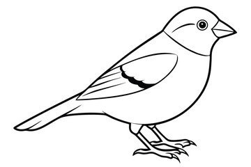 Obraz premium finch silhouette line art vector illustration with a white background