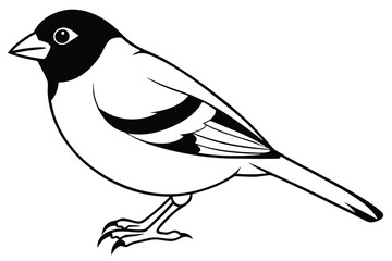 Obraz premium finch silhouette line art vector illustration with a white background