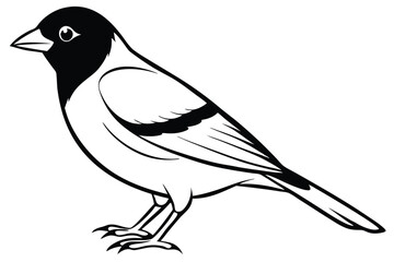 Obraz premium finch silhouette line art vector illustration with a white background