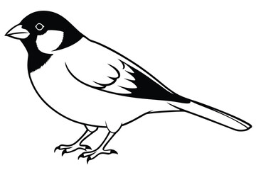 Obraz premium finch silhouette line art vector illustration with a white background