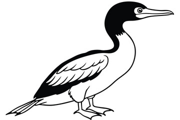 cormorant silhouette line art vector illustration with a white background