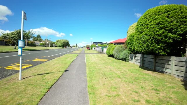 Suburban Street With Tall Green Hedge