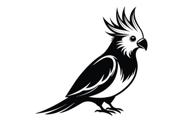 Obraz premium cockatiel silhouette line art vector illustration with a white background