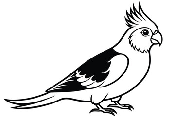 cockatiel silhouette line art vector illustration with a white background