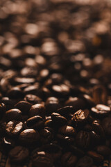 coffee beans background	