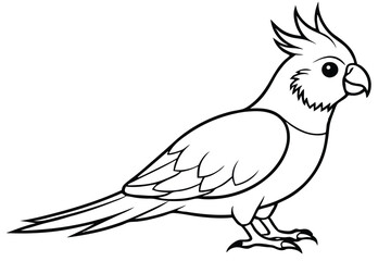 cockatiel silhouette line art vector illustration with a white background