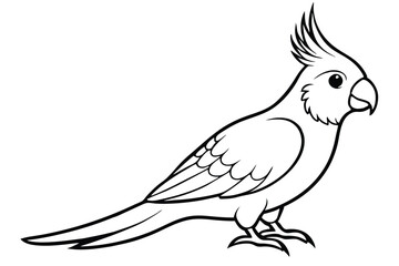 cockatiel silhouette line art vector illustration with a white background
