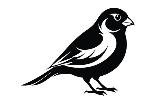 canary silhouette line art vector illustration with a white background