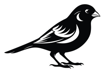 canary silhouette line art vector illustration with a white background